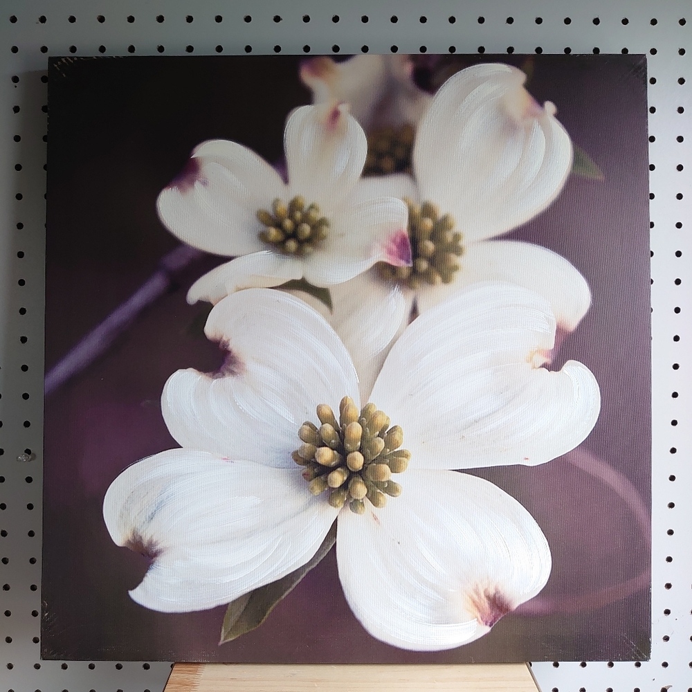 M&R Home Maison Art Unframed Canvas Wall Art Print White Dogwood Flowers